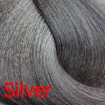 Серебряный Краска Shot Power Color Серебряный